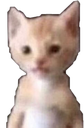 Miguel