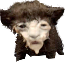 itsover_1