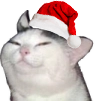 smugcat