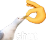 shut_2