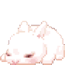 0_pinkbunny