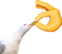 shut