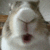 9kbunny_chew