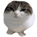 9kemojigg_Oi