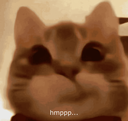 9khmppp_cat