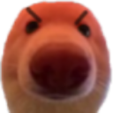 dawgangry