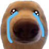 dawgcry