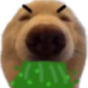 dawgoeoe