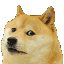dogeleave