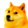 dogeparty