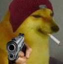dogofthestreets