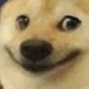 hehedoge