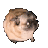 pugdance