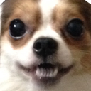 snoopyexcited