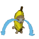 9k_bananacat10_cry