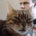 9k_huhcat
