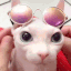 binguswag