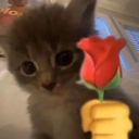 cat_tanghoa