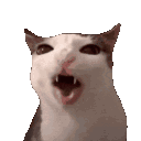 cateat