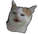 catnobanana
