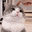 cattap