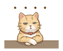 catwhatisthis
