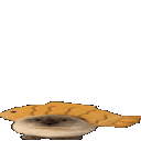 fishcatgif
