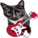 guitarcat