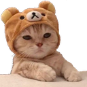 kitten_with_bear_hat