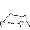 kawaiibongocat