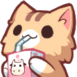 kawaiicatsip