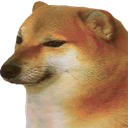 dogecontent