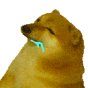 dogeattack