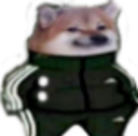 dogeswag