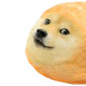 dogetwinkie1