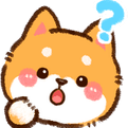 shibaquestionconfused