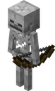 Skeleton