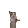 PD_dance_3
